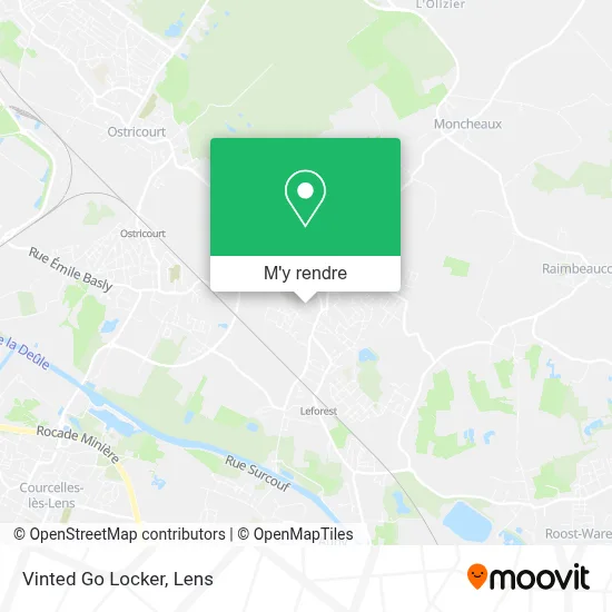 Vinted Go Locker plan
