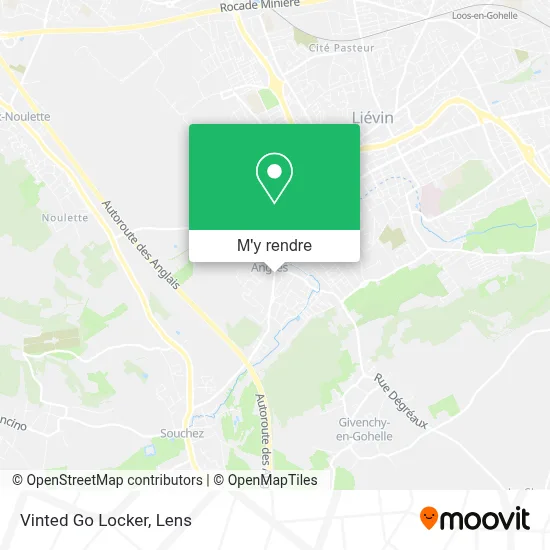 Vinted Go Locker plan