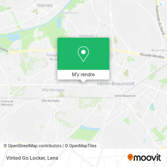 Vinted Go Locker plan