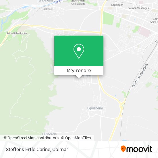 Steffens Ertle Carine plan