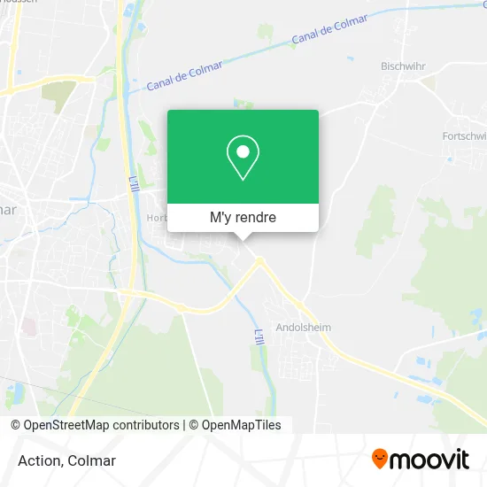 Action plan