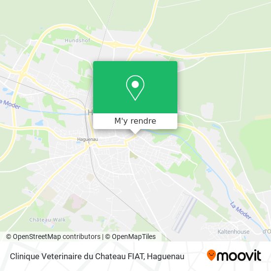 Clinique Veterinaire du Chateau FIAT plan