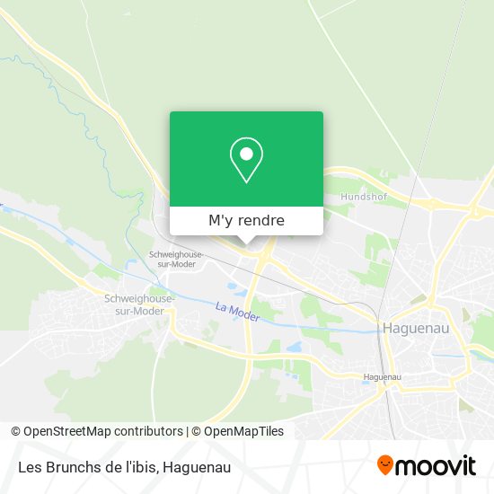 Les Brunchs de l'ibis plan