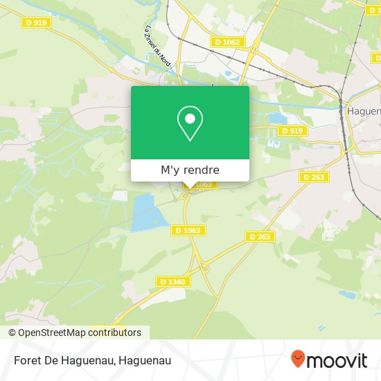 Foret De Haguenau plan