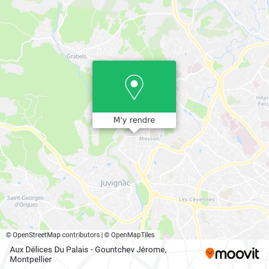 Aux Délices Du Palais - Gountchev Jérome plan