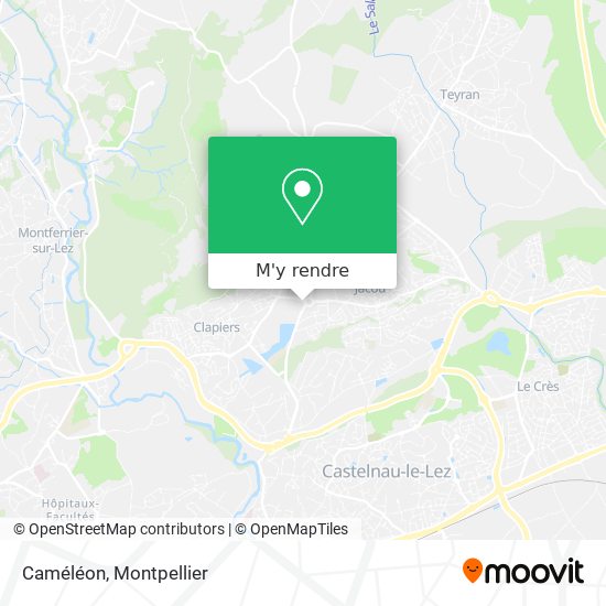 Caméléon plan