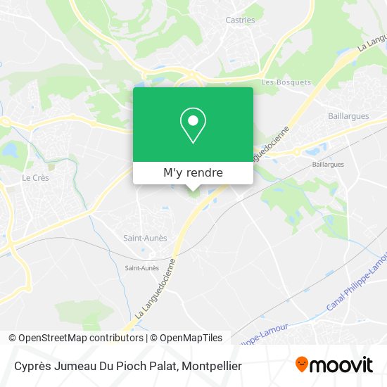 Cyprès Jumeau Du Pioch Palat plan