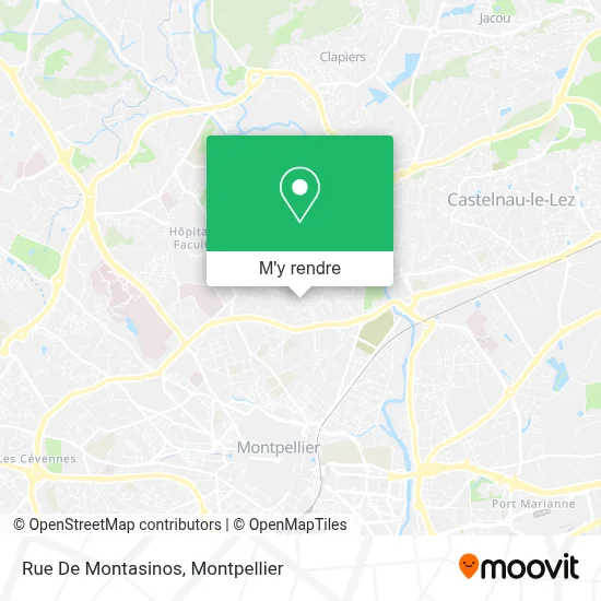 Rue De Montasinos plan