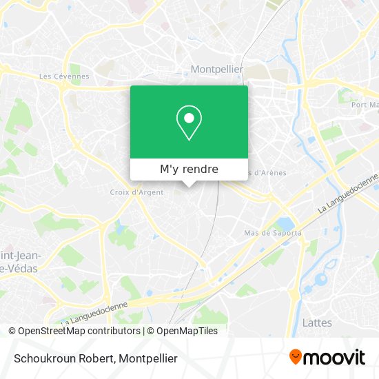 Schoukroun Robert plan
