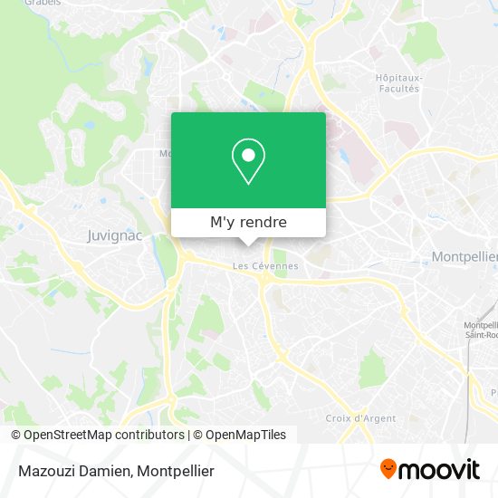 Mazouzi Damien plan