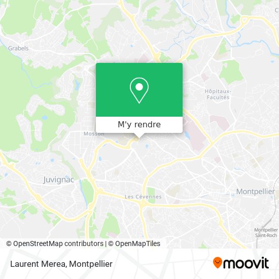 Laurent Merea plan