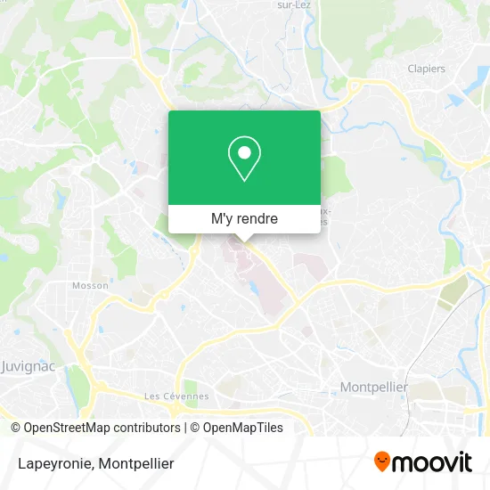 Lapeyronie plan