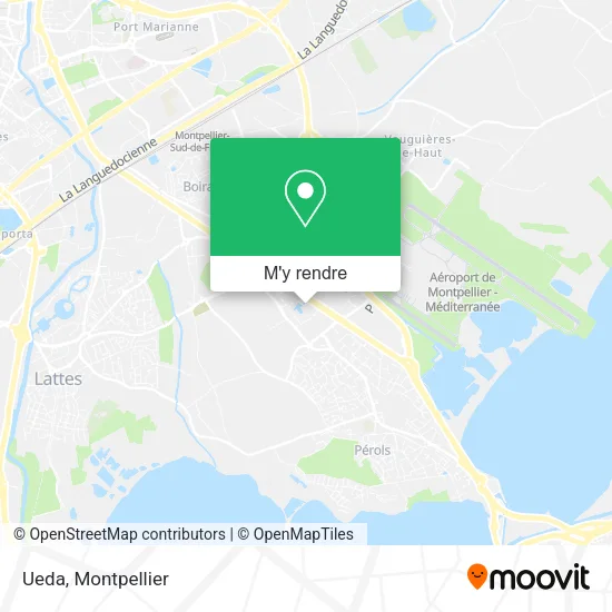 Ueda plan