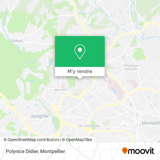 Polynice Didier plan