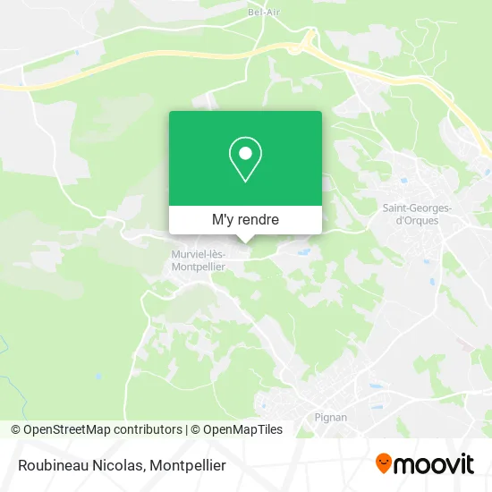 Roubineau Nicolas plan