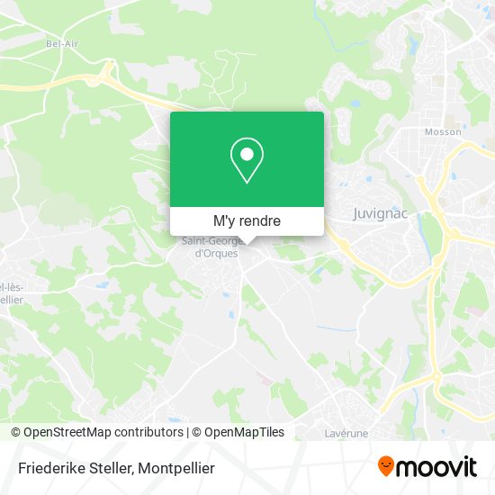 Friederike Steller plan