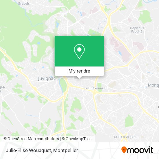 Julie-Elise Wouaquet plan