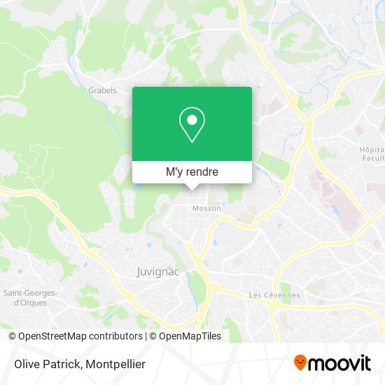 Olive Patrick plan