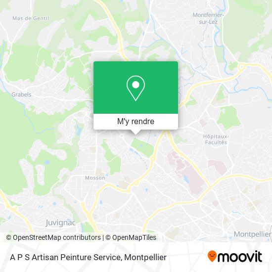 A P S Artisan Peinture Service plan