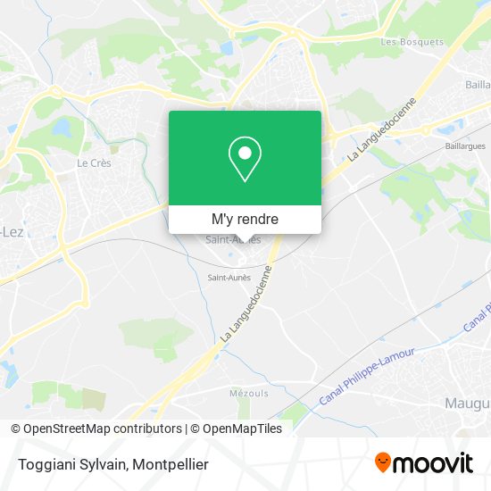 Toggiani Sylvain plan