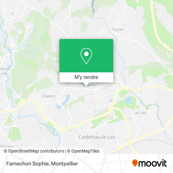 Famechon Sophie plan