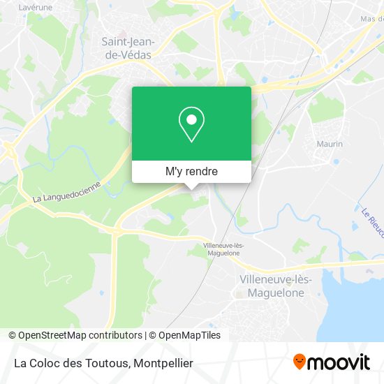La Coloc des Toutous plan