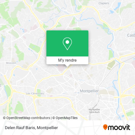 Delen Rauf Baris plan