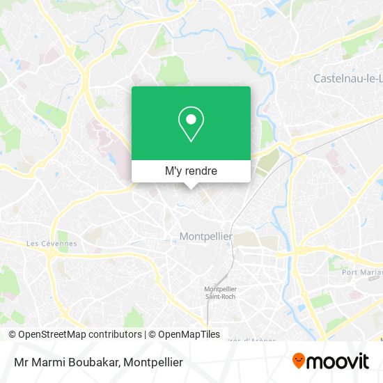 Mr Marmi Boubakar plan