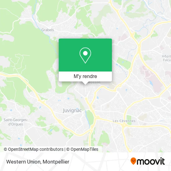Western Union plan