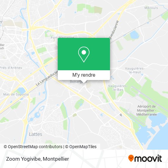 Zoom Yogivibe plan