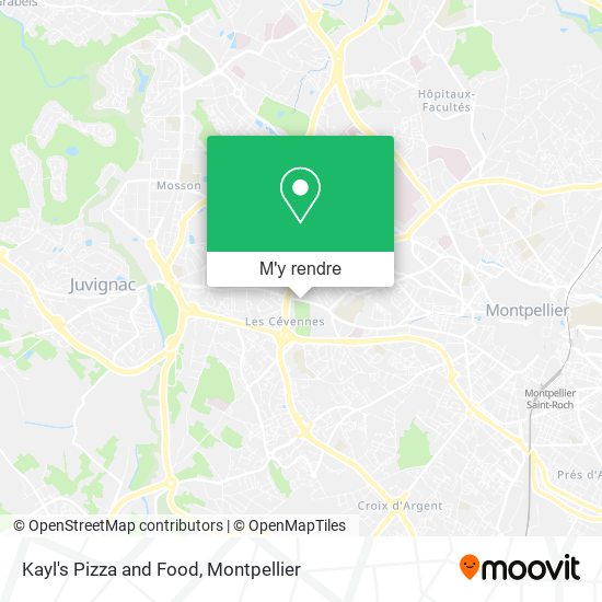 Kayl's Pizza and Food plan
