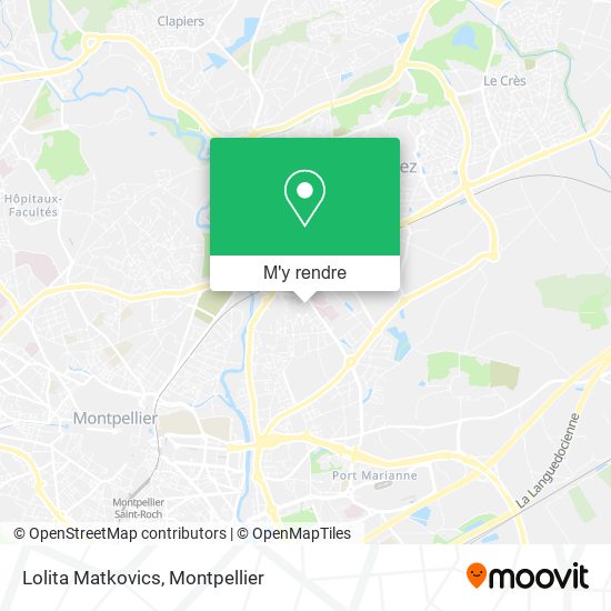 Lolita Matkovics plan