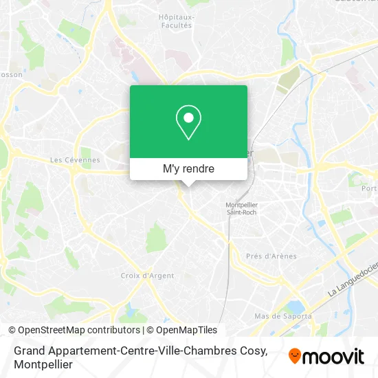 Grand Appartement-Centre-Ville-Chambres Cosy plan
