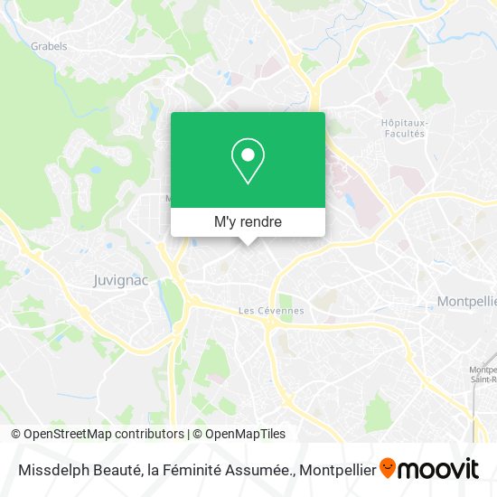Missdelph Beauté, la Féminité Assumée. plan