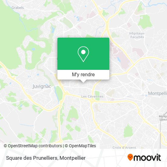 Square des Prunelliers plan