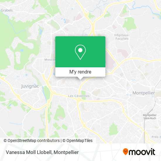 Vanessa Moll Llobell plan