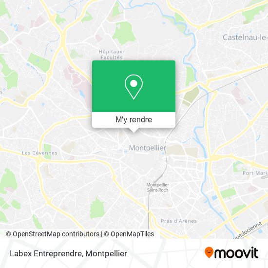 Labex Entreprendre plan