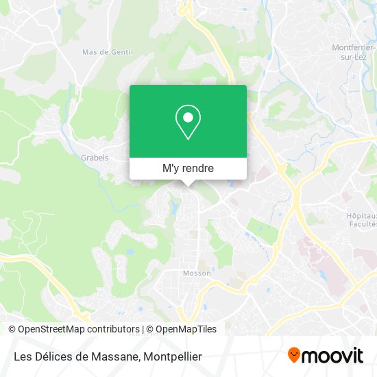 Les Délices de Massane plan