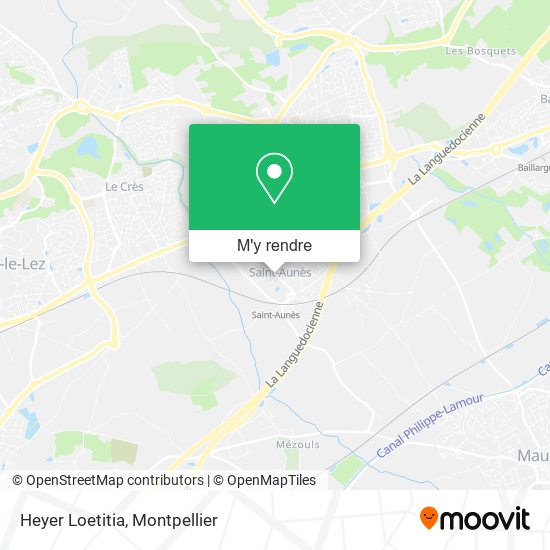 Heyer Loetitia plan