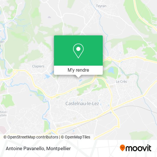Antoine Pavanello plan
