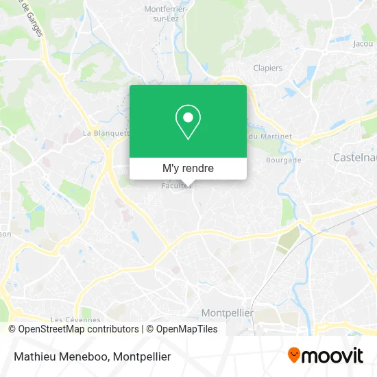 Mathieu Meneboo plan