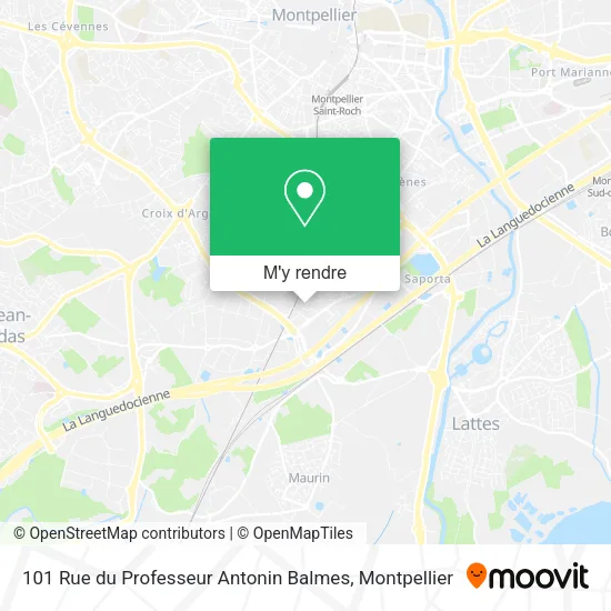 101 Rue du Professeur Antonin Balmes plan