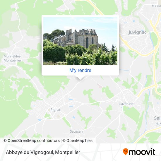 Abbaye du Vignogoul plan