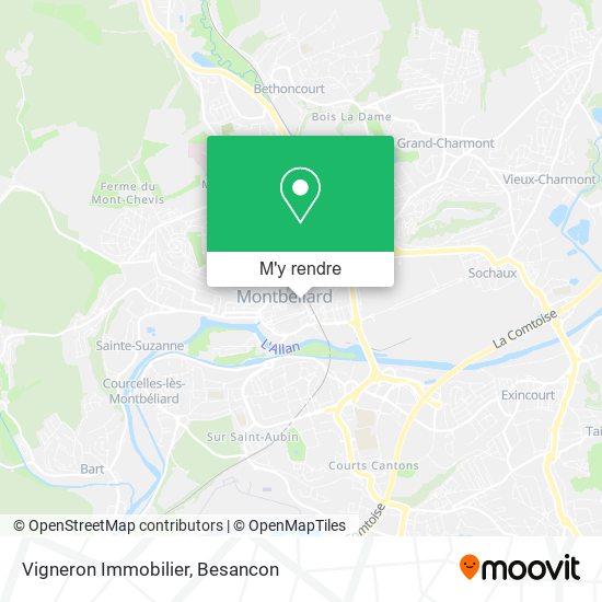 Vigneron Immobilier plan