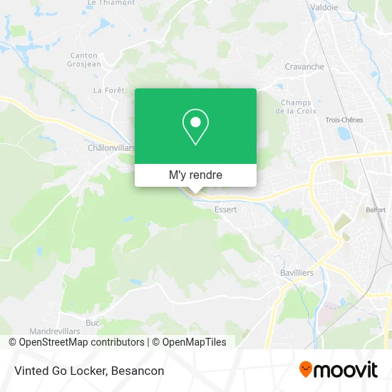 Vinted Go Locker plan