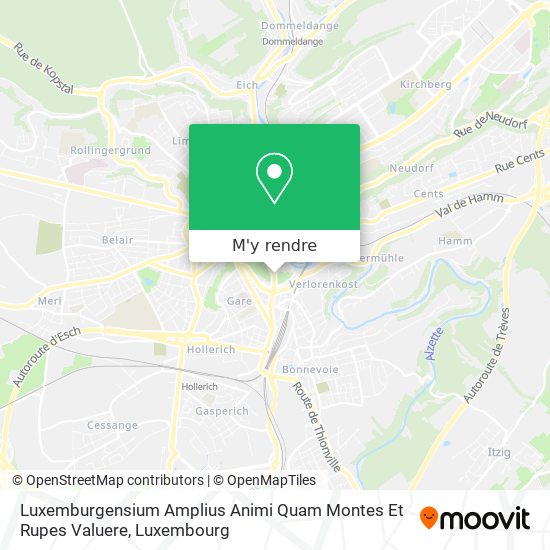 Luxemburgensium Amplius Animi Quam Montes Et Rupes Valuere plan