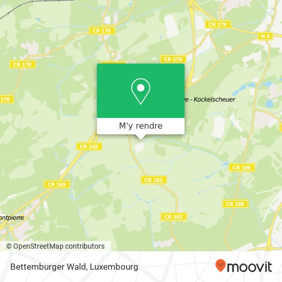 Bettemburger Wald plan