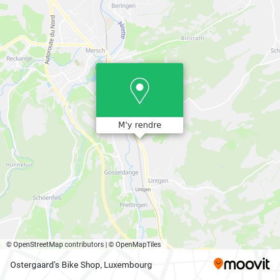 Ostergaard's Bike Shop plan