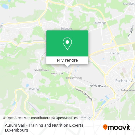 Aurum Sárl - Training and Nutrition Experts plan