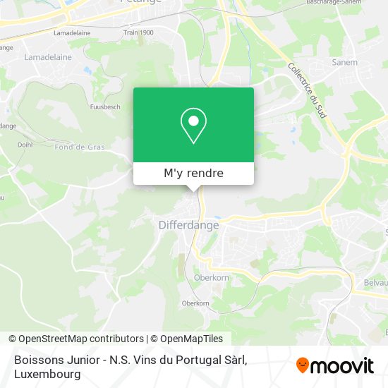 Boissons Junior - N.S. Vins du Portugal Sàrl plan